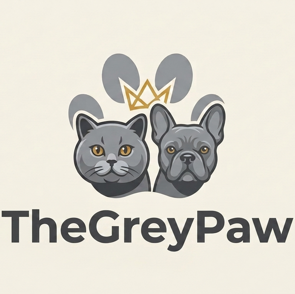 The Grey Paw